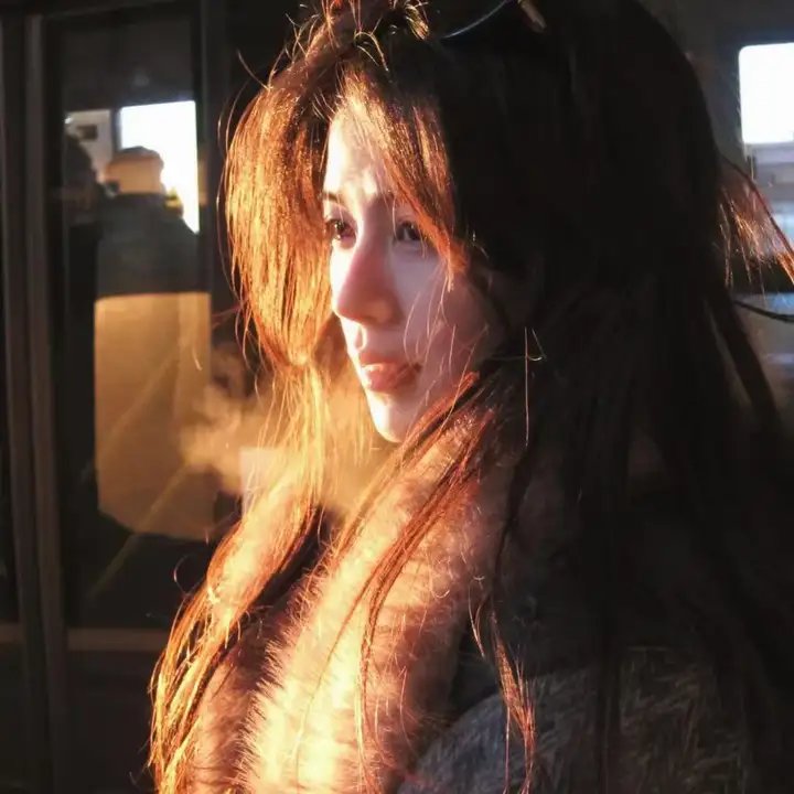 完美的骗子
