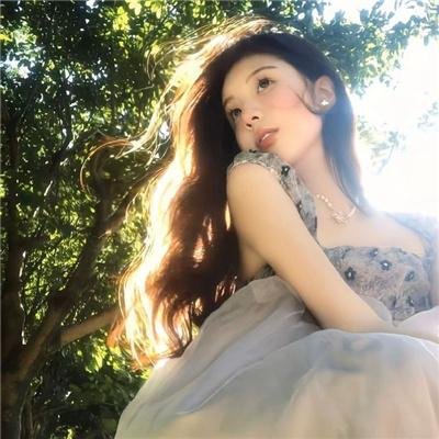 少女骑士物语